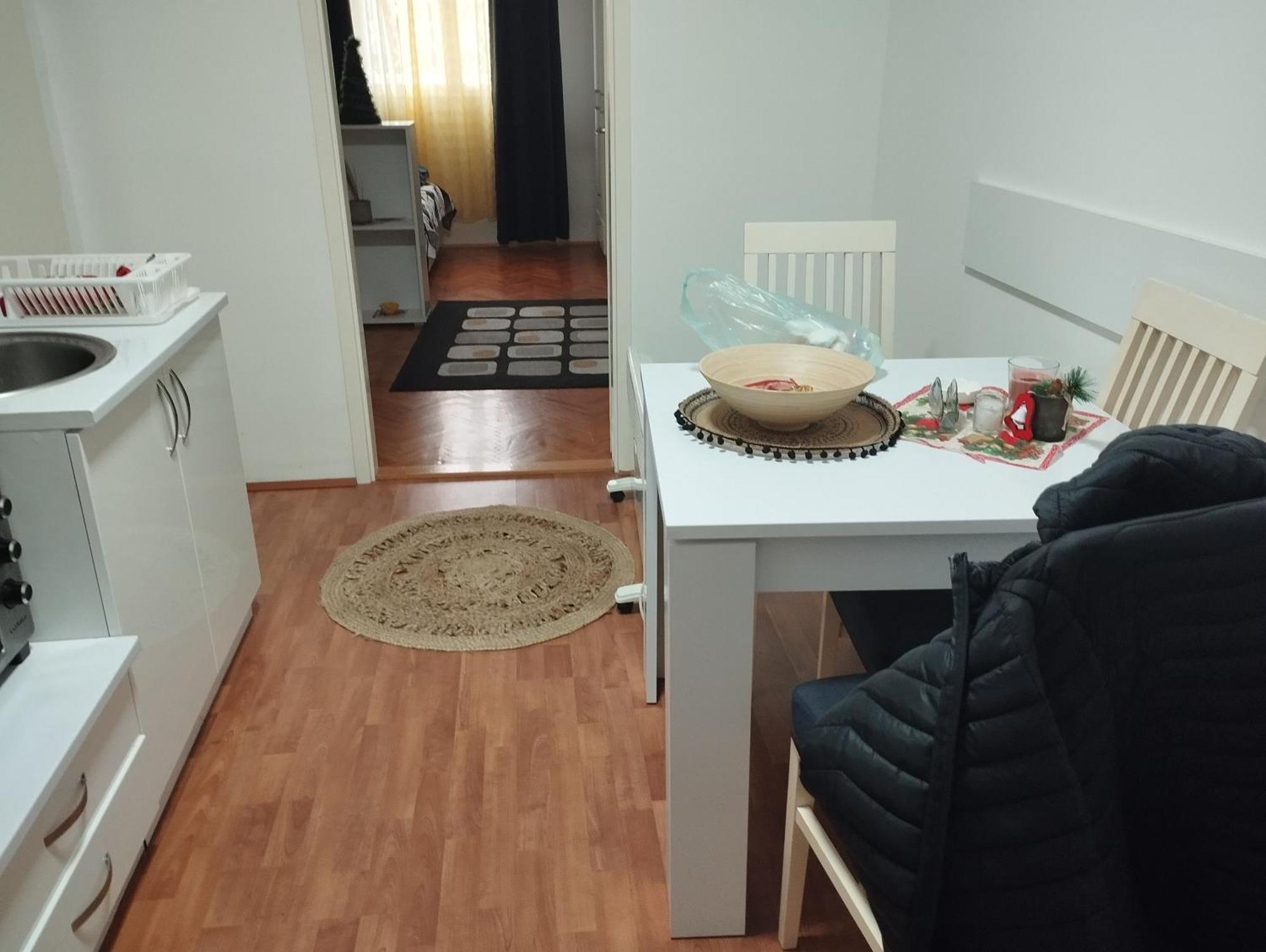 Mikica Vrnjacka Banja